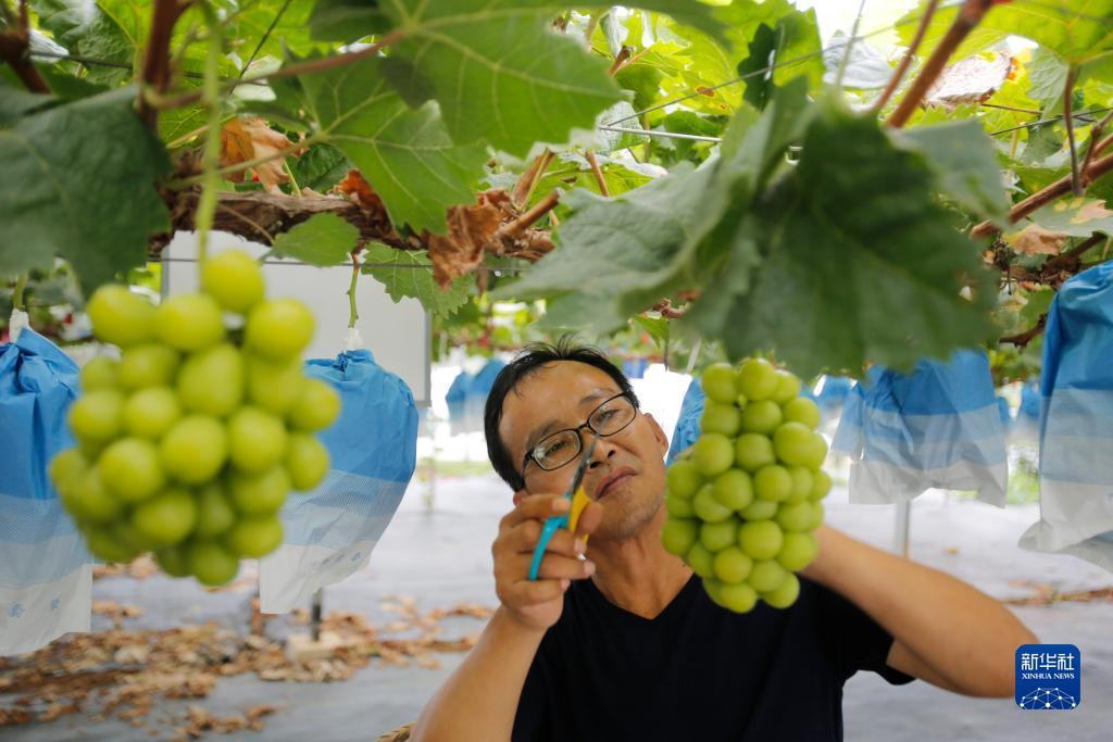 威尼斯电子游戏下载